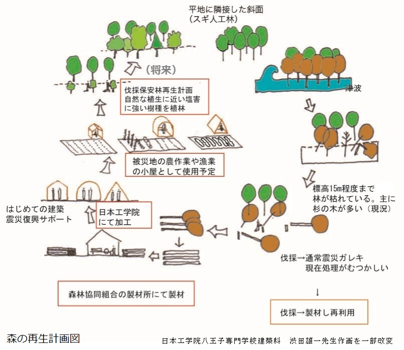 森の再生計画図